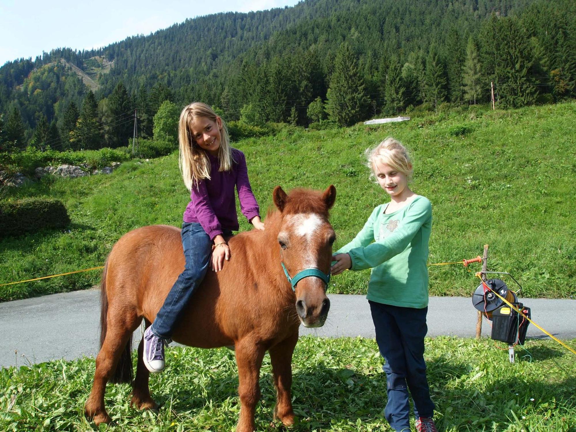 Ferienhof Obergasser Und Bergblick Weissensee Luaran gambar